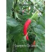 Guampinho Do Veado Pepper Seeds
