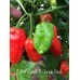 7-Pot Butch X Jonah Red Pepper Seeds 