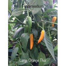 Large Orange Thai Pepper Seeds 