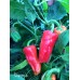 Stavro's Pepper Seeds 