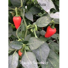 Hawaiian Sweet Hot