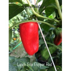 Lunch Box Pepper Red