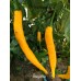 Guyana Pepper Seeds