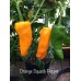 Orange Squash Pepper Seeds 
