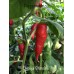 Chiriqui Grande Pepper Seeds