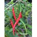 Slim Cayenne 