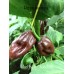 Mad Balls Chocolate Fat 