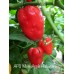 APS White Apple Habanero Pepper Seeds
