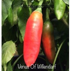 Venus Of Willendarf