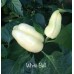 White Bell Pepper Seeds 