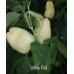 White Bell Pepper Seeds 