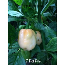 7-Pot Pink Pepper Seeds