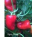 Gypsy Pepper Seeds