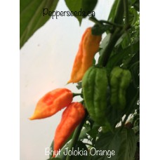 Bhut Jolokia Orange Pepper Seeds 