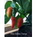 Bhut Jolokia Orange Pepper Seeds 