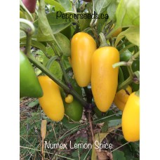 Numex Lemon Spice