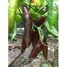 Aji Panca Pepper Seeds