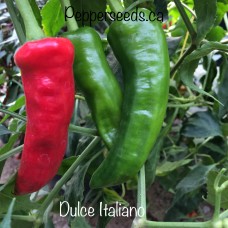 Dulce Italiano Pepper Seeds