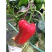 Florines Pepper Seeds