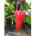 Florines Pepper Seeds