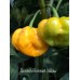 Scotch Bonnet Yellow Pepper Seeds 