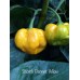 Scotch Bonnet Yellow Pepper Seeds 