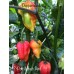 7-Pot Jonah Strain Red Pepper Seeds 