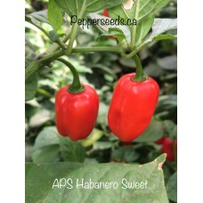 APS Habanero Sweet Pepper