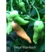 Bengal Naga Peach Pepper
