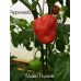 Malawi Piquante