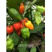 APS F546C Pepper