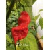 Trinidad Scorpion X-Strain