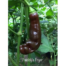 Freddy's Fryer Pepper Seeds