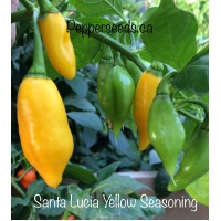 Santa Lucia Yellow Seasoning