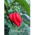 7-Pot Congo Red Pepper Seeds 