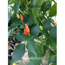 Hawaiian Kona Pepper Seeds 