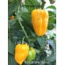 Nagabrains Yellow Pepper Seeds