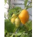 Aji Fantasy Orange Pepper Seeds