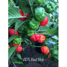 APS Red Blob Pepper