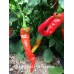 Maules Red Hot Cayenne