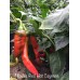 Maules Red Hot Cayenne