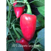 APS Jalapeño large Red Pepper 