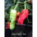 Peter Pepper Red Pepper Seeds 