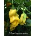 7-Pot Chaguanas Yellow Pepper Seeds 