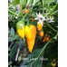 Chicken Heart Yellow Pepper Seeds