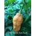 7-Pot Bubble-Gum Peach Pepper Seeds 