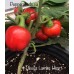 Devils Lamb Heart Pepper Seeds