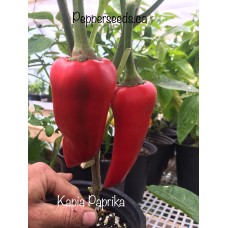 Kapia Paprika Pepper Seeds 