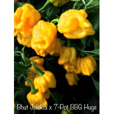 Bhut Jolokia x 7-Pot BBG Huge Yellow Pepper Seeds Bhut Jolokia x 7-Pot BBG Huge Yellow Pepper Seeds