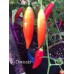 Aji Omnicolor Pepper Seeds